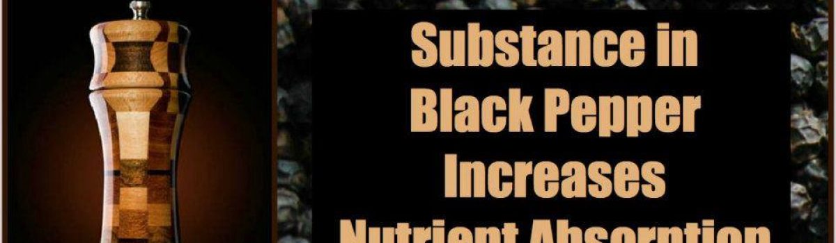 ‘Putting Black Pepper on your food increases nutrient absorption up to 2000%’