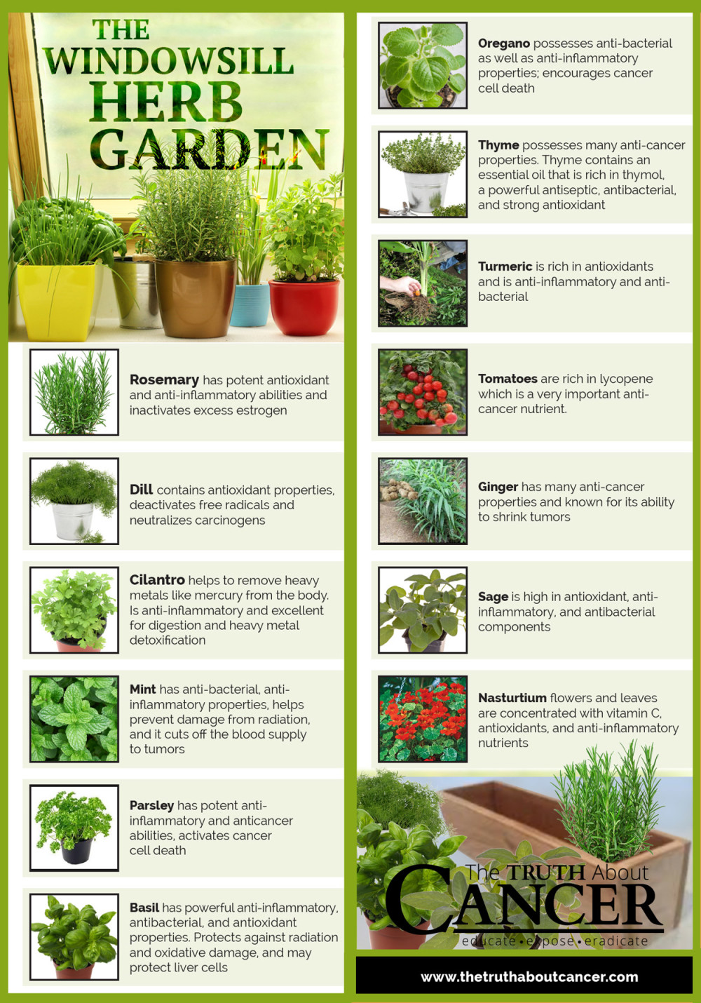 Anti-cancer herbs and plants